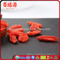 Baies de goji biologiques brutes poudre de baies de goji avantages des baies de goji séchées